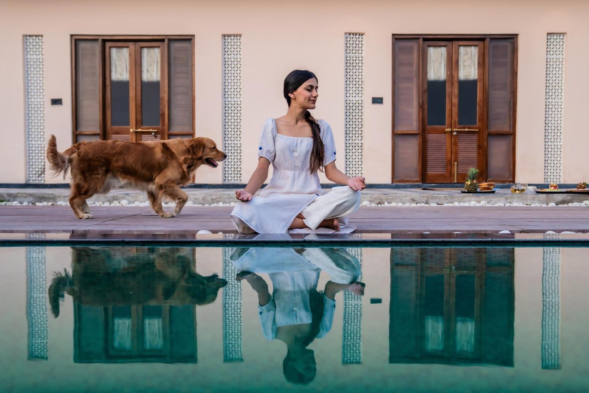 Parijat Private Pool Villa 1, 2 And 3 Bhk أُودايبور المظهر الخارجي الصورة