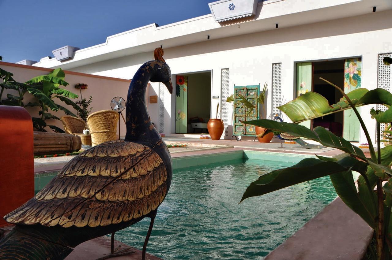 Parijat Private Pool Villa 1, 2 And 3 Bhk أُودايبور المظهر الخارجي الصورة